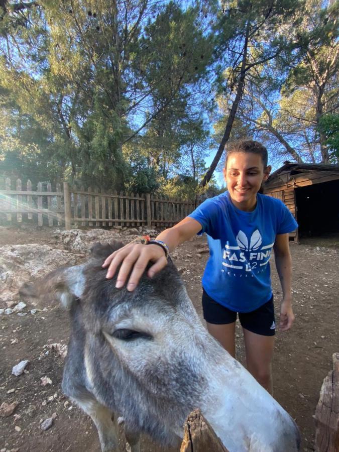 Alojamiento Rural Las Maravillas Cañada Catena 外观 照片