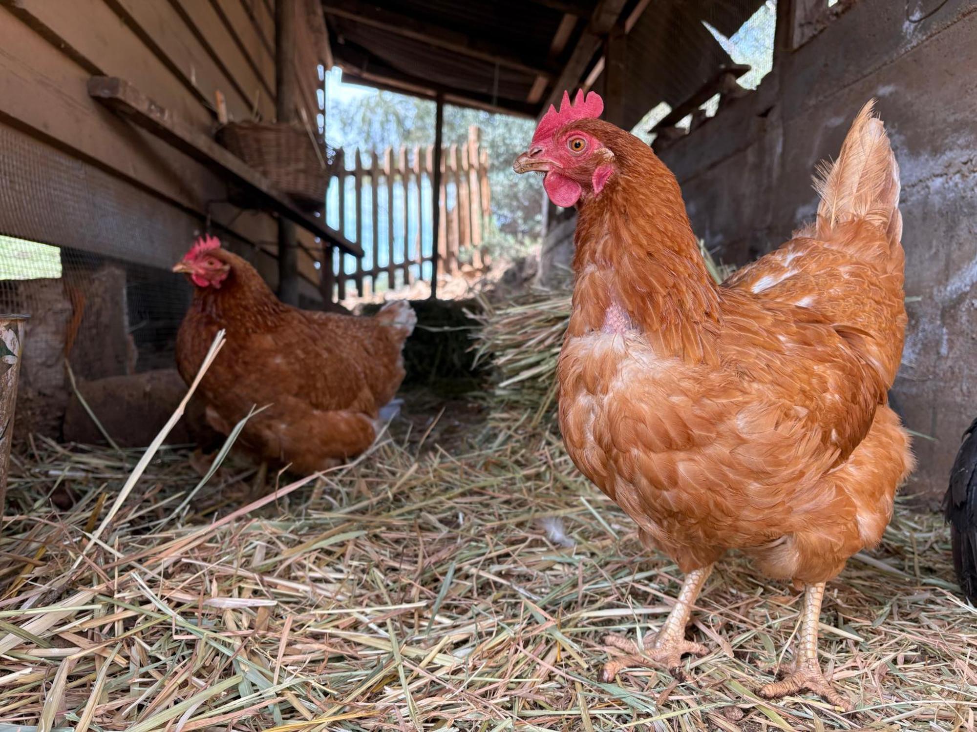 Alojamiento Rural Las Maravillas Cañada Catena 外观 照片