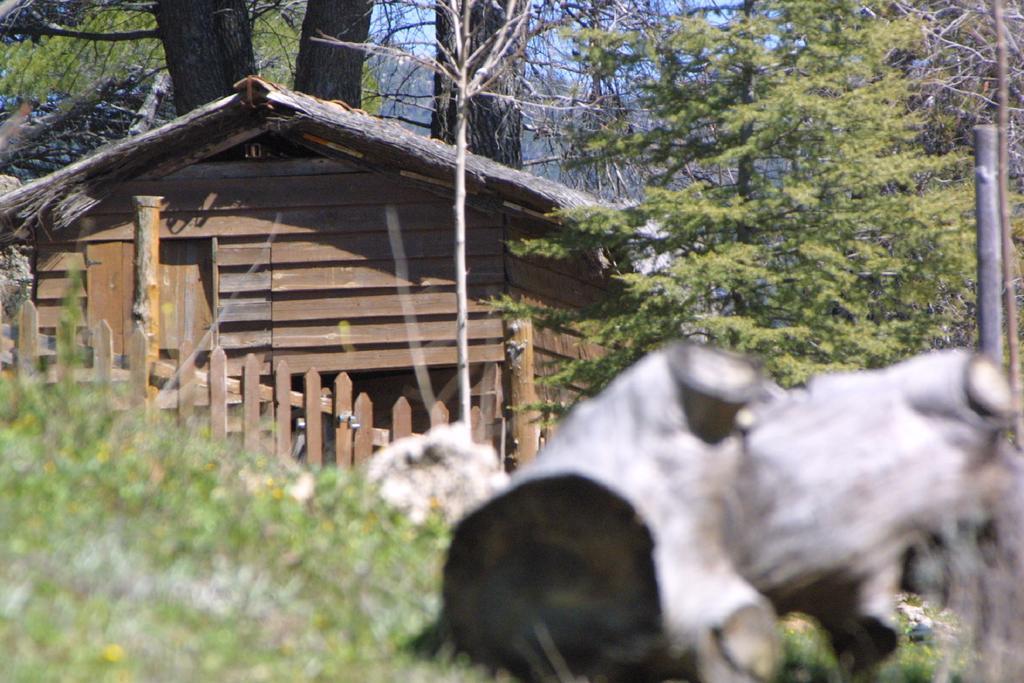 Alojamiento Rural Las Maravillas Cañada Catena 外观 照片